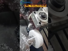 अनुकूलित प्लास्टिक गियर